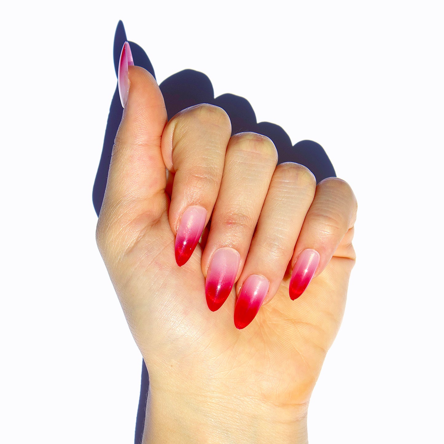 Champagne & Wine Press-On Nails